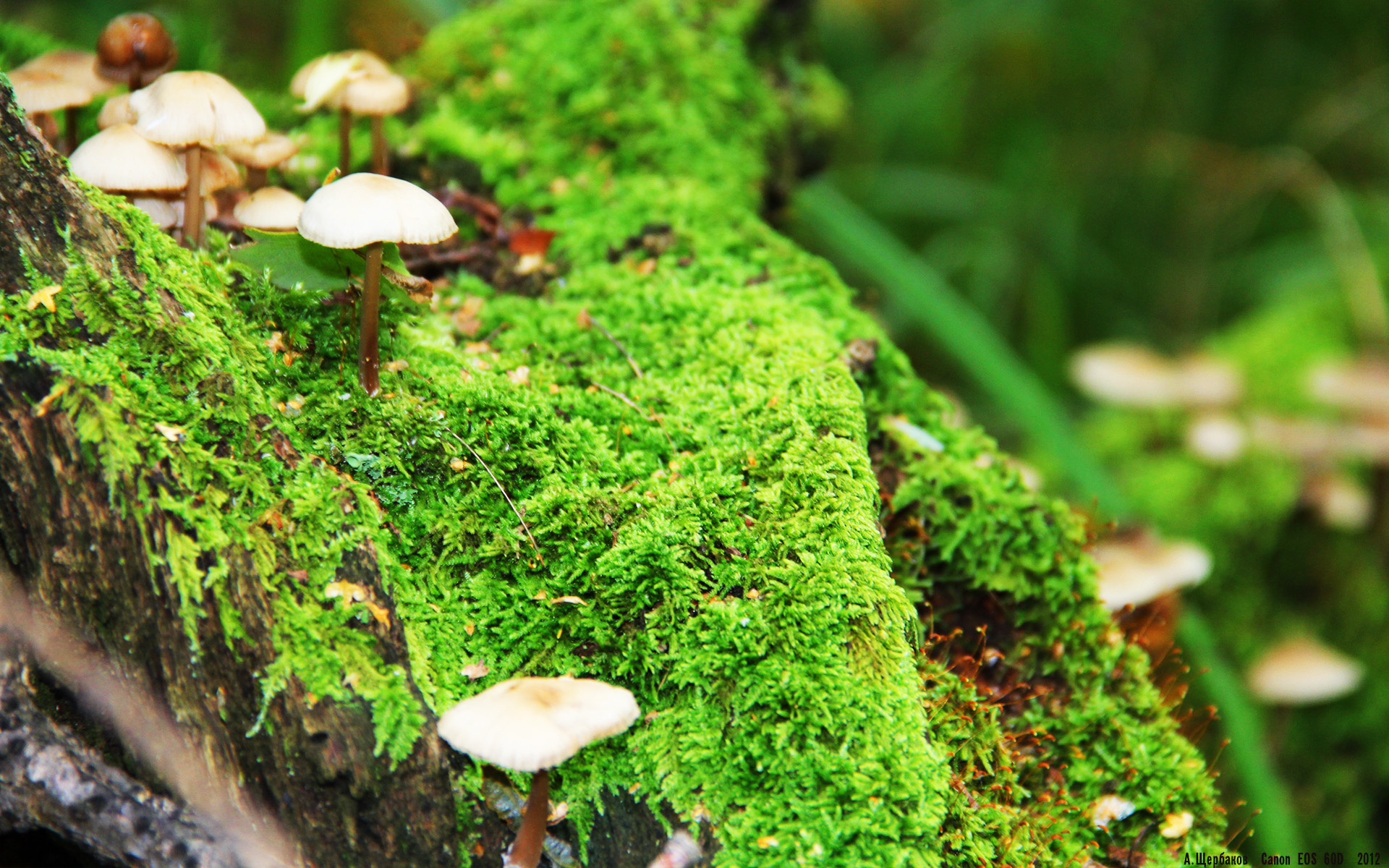 中国足球职业联赛引入裁判情境决策演练系统,中国足协裁判培训