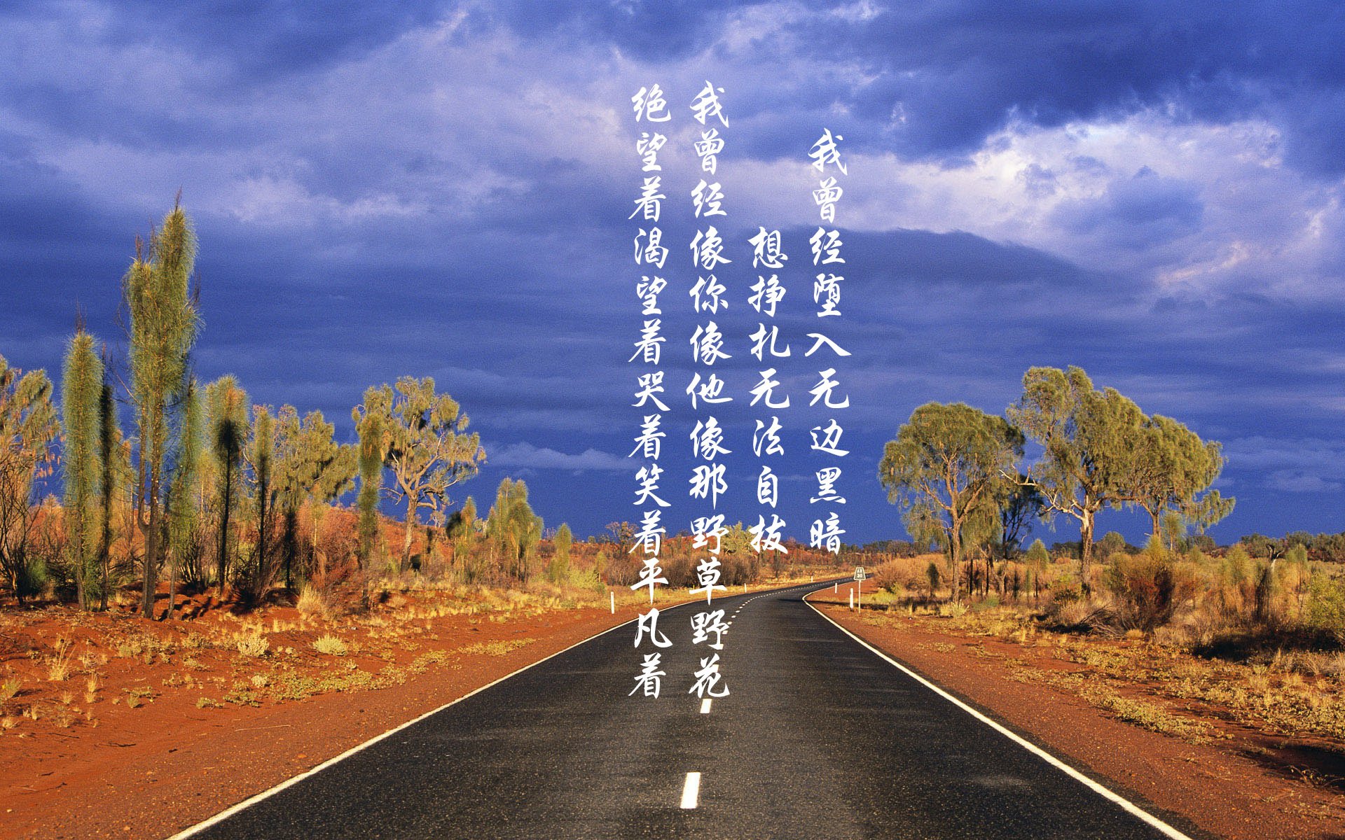 开云网址入口-格鲁吉亚女篮在欧洲锦标赛中夺冠，闪耀国际舞台，格鲁吉亚篮球超级联赛比分2021